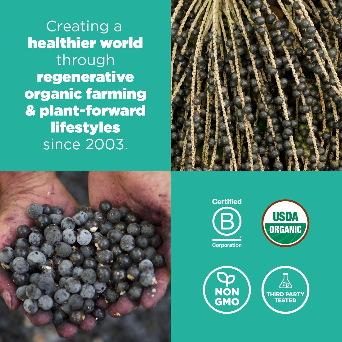 Navitas Organics Acai Powder, 4oz. Pouch, 38 Servings